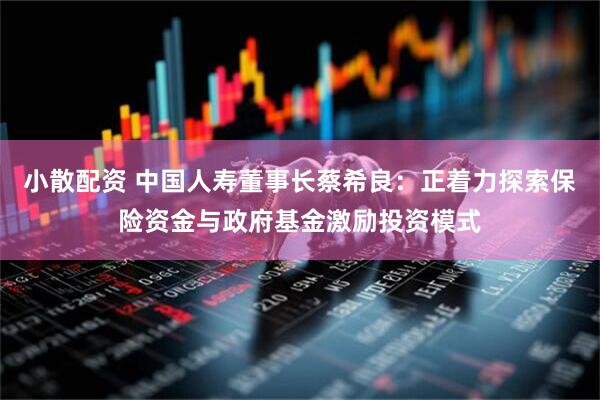 小散配资 中国人寿董事长蔡希良：正着力探索保险资金与政府基金激励投资模式