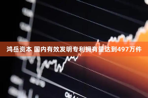 鸿岳资本 国内有效发明专利拥有量达到497万件