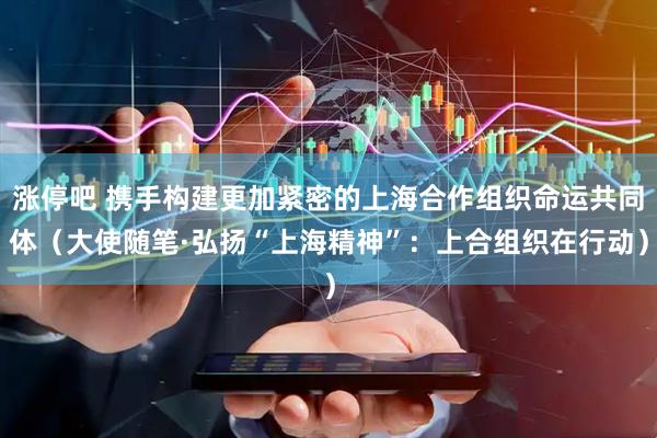 涨停吧 携手构建更加紧密的上海合作组织命运共同体（大使随笔·弘扬“上海精神”：上合组织在行动）