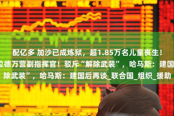 配亿多 加沙已成炼狱，超1.85万名儿童丧生！以军：打死哈马斯谢赫拉德万营副指挥官！驳斥“解除武装”，哈马斯：建国后再谈_联合国_组织_援助